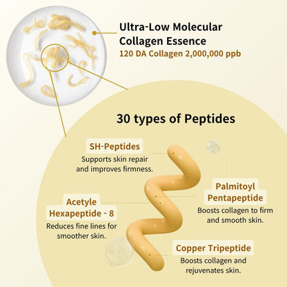 [Sungboon] Silk Lifting Peptide Ampoule | Wrinkle Care | Face-Lift at Home serum with Peptides & Deep Collagen | Plumping, Smooth, Anti aging Korean Skincare (30ml)
